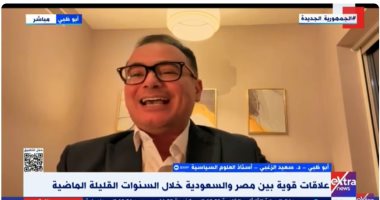 أستاذ علوم سياسية: استقرار الدولة المصرية كلمة السر فى جذب الاستثمار