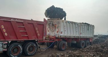 حملات مكثفة للنظافة وصيانة دورية لأعمدة الإنارة بمراكز المنيا