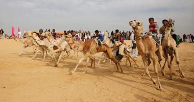 محافظ الإسماعيلية يتابع الاستعدادات النهائية لمهرجان الهجن فى دورته العشرين