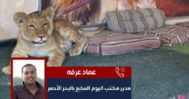 شبل الأسد داخل محطة السفارى بالغردقة