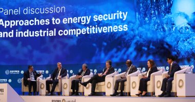 كريم بدوى: التعاون الإقليمي الحالي في مجال الطاقة تمكين للدول من الاستفادة من مواردها وبنيتها التحتية