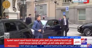 خبير: توافق في الاستراتيجيات والرؤى بين مصر وإسبانيا