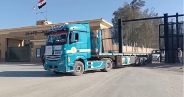 محافظة القاهرة تعلن وصول قافلة المساعدات الإنسانية الجانب الفلسطينى