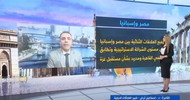 خبير: مصر بالنسبة للدول الأوروبية ركيزة مهمة فى مكافحة الهجرة غير الشرعية والإرهاب الدكتور إسماعيل تركي