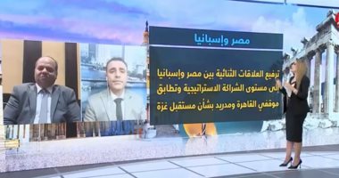 أستاذ اقتصاد: الدبلوماسية الاقتصادية عززت شراكات مصر واستثماراتها
