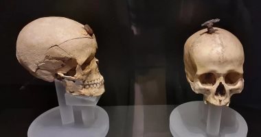 لغز مثير وراء وجود رؤوس مقطوعة فى مواقع تعود للعصر الحديدى بكتالونيا جماجم عثر عليها فى مستوطنة من العصر الحديدى