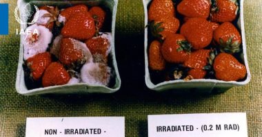 الوكالة الدولية للطاقة الذرية توضح 4 مميزات لحفظ الأغذية بـ"الإشعاع"