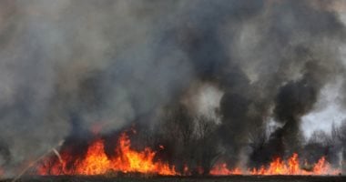 الحلم نيوز : 
                                            اليابان: السيطرة على حرائق الغابات المستعرة فى 