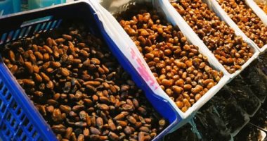 خيرات مطروح على موائد رمضان.. البلح السيوى والزيتون يزينان مائدة إفطار المصريين. البلح السيوى