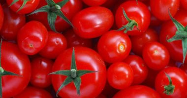 الطماطم هناك ببلاش.. انهيار أسعار الخضروات فى سوق الجملة بأكتوبر.. فيديو