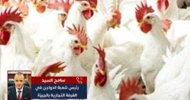 أسعار الدواجن قبل رمضان.. والشعبة التجارية: الكميات متوافرة بالأسواق "فيديو"