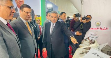 طرح الأسماك بتخفيضات 30٪ وكيلو البلطي بـ60 جنيهًا بنادى الزراعيين بالدقى افتتاح معرضين للسلع الغذائية