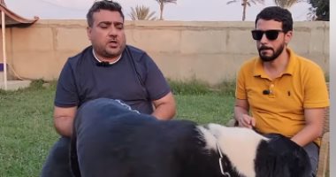احذر هذا الوحش العملاق.. كلب من عالم آخر سعره يصل ربع مليون جنيه.. فيديو جانب من برنامج فتحى شو