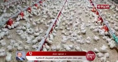حماية المنافسة: اتفاق الشركات على تحديد سعر فيما بينها جريمة