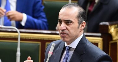 محمود فوزى: الحق فى التعويض عن الحبس الاحتياطى أقر لأول مرة بمصر فى دستور 2014