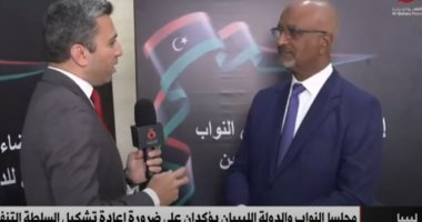 عبد العزيز حريبة: لا يوجد انشقاق بين المجلس الأعلى ومجلس النواب
