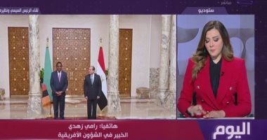 خبير شئون أفريقية: زامبيا دولة مهمة فى محيطها وذات رؤية مشتركة مع مصر