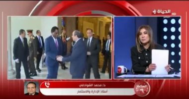 أستاذ استثمار: هناك فرصة كبيرة للقطاع الخاص المصرى لإقامة مشروعات فى زامبيا