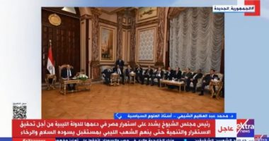 أستاذ علوم سياسية: الدولة المصرية تدعم المصالح الليبية ووحدة أراضيها