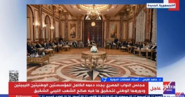 أستاذ علاقات دولية: مصر منفتحة على دوائر صنع القرار الليبى لإنهاء الجمود السياسى
