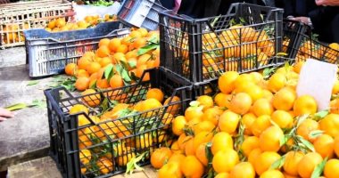 أسعار الفاكهة اليوم الإثنين 24-2- 2025 فى أسواق مطروح