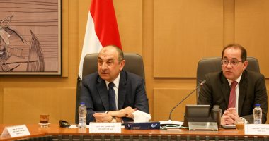 وزيرا قطاع الأعمال العام والمالية يبحثان تعزيز التعاون بالملفات المشتركة 