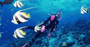 "أبو النحاس" جنة الغواصين فى الغردقة.. تجمع بين الإثارة التاريخية والجمال الطبيعى تحت الماء.. أكثر المناطق إثارة لتعدد الروايات حول تسميتها.. ويعشقها ويغوص فى أعماقها المغامرين والمحترفين.. صور