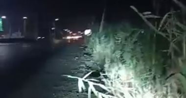 تقرير جديد لتليفزيون اليوم السابع حول مصرع أب ونجلتيه فى حادث ببنى سويف