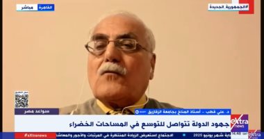 د.على قطب: الدولة حققت العديد من مشروعات المسطحات الخضراء وزيادتها