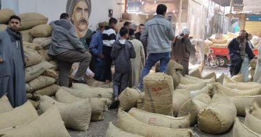 "برتمودا وسكوتى" إقبال على شراء البلح بمنطقة الوكالة بالغربية.. البيع بالجملة للتجار بالمراكز والمدن.. يبدأ العمل فى السابعة صباحا وحتى منتصف الليل.. التجار: الموسم شهد انخفاض 50% بالأسعار مقارنة بالعام الماضى الإقبال علي شراء البلح