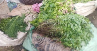 الملوخية والمحاشى أطباق دائمة على السفرة المنياوية طوال شهر رمضان الملوخية