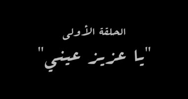 الشبكة نيوز : 
                                            