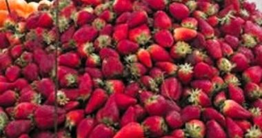 أسعار الفاكهة بأسواق مطروح اليوم الأربعاء 21-5- 2025.. العنب بـ60 جنيها
