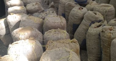 إقبال تجار الصعيد على وكالة البلح بالغربية.. الموسم يبدأ أول شعبان وحتى نهاية رمضان.. انخفاض أسعار التمور عن العام الماضى.. تجار: السعر يبدأ من 15 جنيها للكيلو الواحد.. ونستقبل تجار التجزئة من جميع المحافظات