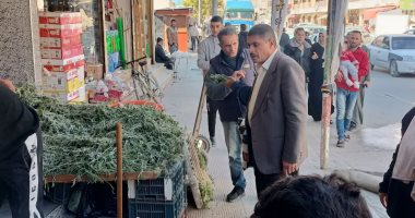 حملات مكثفة فى العريش لإزالة الإشغالات والمبانى المخالفة وإصلاح هبوط أرضى