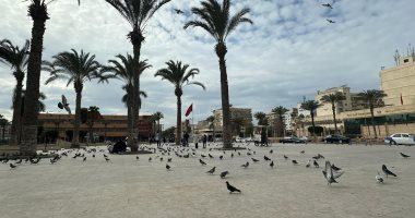 ساحة الحمام.. أحلى مشهد فى بورسعيد ساعة العصاري قبل الفطار.. فيديو وصور