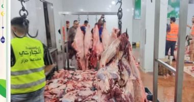 مؤسسة الجارحي عضو التحالف الوطني تستخدم 72 طن لحوم بمبادرة "مطابخ الخير" 