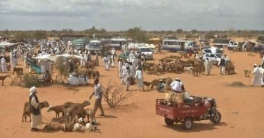 هجوم للدعم السريع على مدينة الخوى بغرب كردفان يسفر عن مقتل 7 أشخاص وإصابة 13 مدينة الخوى بغرب كردفان