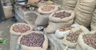 إقبال على شراء البلح بسوق العتاسة بطنطا.. التجار يأتون من محافظات الصعيد لبيعه جملة وقطاعى.. والبائعون: الكيلو يبدأ من 15 جنيهًا وانخفاض الأسعار 50% مقارنة بالعام الماضى.. ويؤكدون زيادة الإقبال هذا العام
