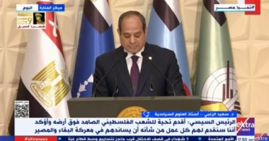 أستاذ العلوم السياسية: القضية الفلسطينية أحد ثوابت الدولة المصرية