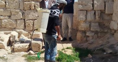 "زراعة الإسكندرية": رش الحشائش بمنطقة آثار "أبو مينا" بكينج مريوط