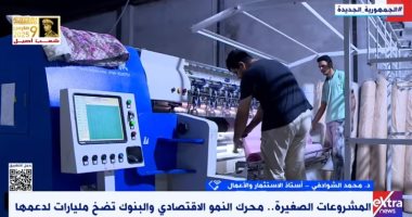 أستاذ استثمار: المشروعات الصغيرة والمتوسطة أحد أدوات التنمية المعاصرة