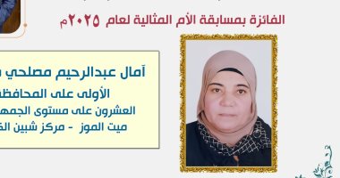 محافظ المنوفية يهنئ الأم المثالية على مستوى المحافظة