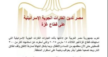 تفاصيل إدانة مصر بأشد العبارات العدوان الإسرائيلية على غزة.. فيديو