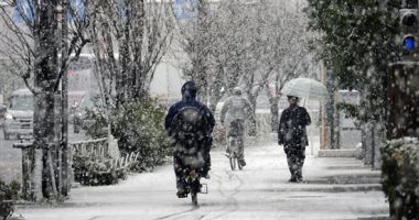 عاصفة ثلجية تضرب العاصمة اليابانية طوكيو تساقط كثيف للثلوج فى طوكيو