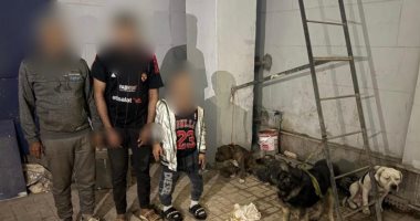 ضبط المتهمين بالمضاربة بالكلاب فى الشوارع المتهمون بالمضاربة بالكلاب فى الشوارع
