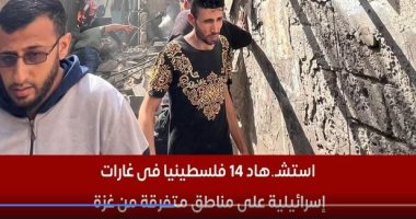 استشهاد 14 فلسطينيا فى غارات إسرائيلية على مناطق متفرقة من غزة.. فيديو