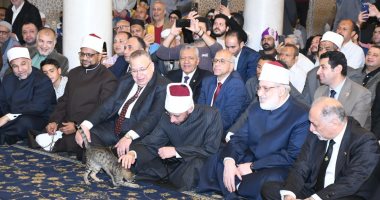شاهد بالصور.. وزير الأوقاف "يلاطف" قطة في احتفال الوزارة بذكرى فتح مكة