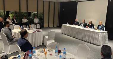 وزير الخارجية يلتقي أعضاء الجالية المصرية في تنزانيا لقاء الوزير بدر عبد العاطي بالجالية المصرية في تنزانيا