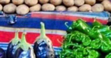 أسعار الخضروات بأسواق الشرقية اليوم الأحد  23 مارس.. الطماطم بـ 7 جنيهات    